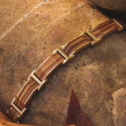 Holzkern Bandlets|Bandlets^Acapella