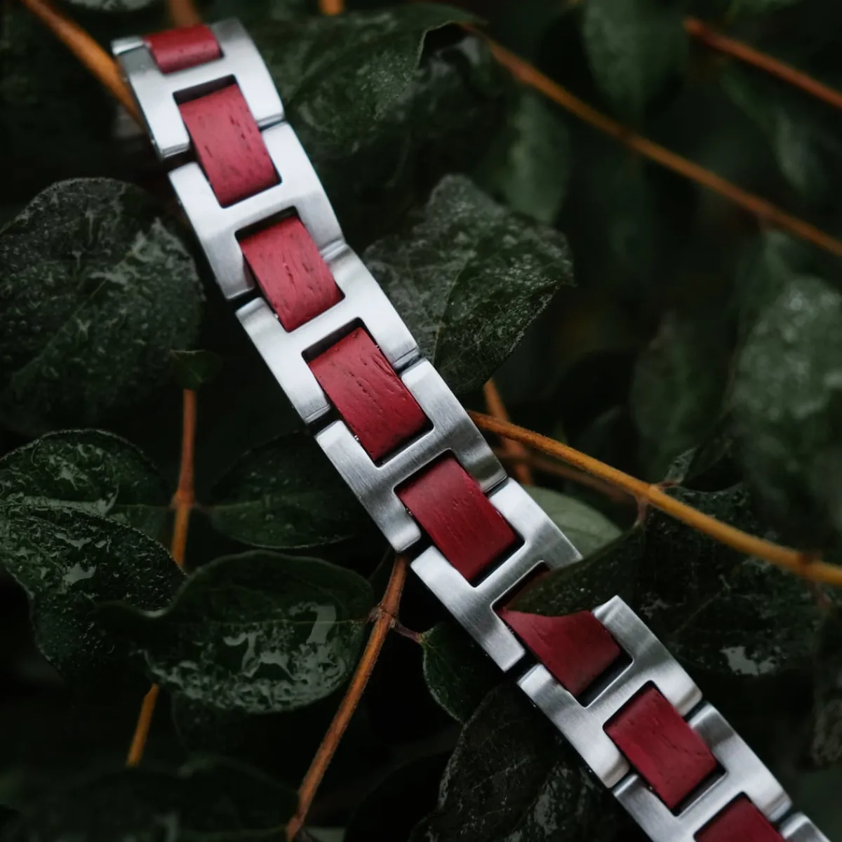 Holzkern Bandlets|Bandlets^Acoustic
