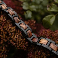 Holzkern Bandlets|Bandlets^Acoustic