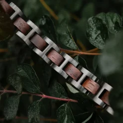 Holzkern Bandlets|Bandlets^Acoustic