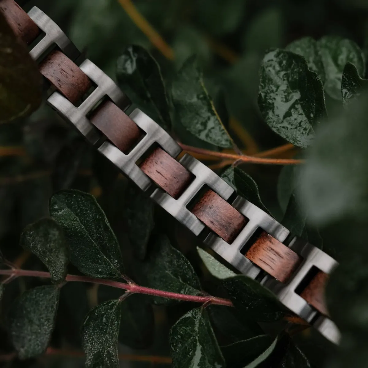 Holzkern Bandlets|Bandlets^Acoustic
