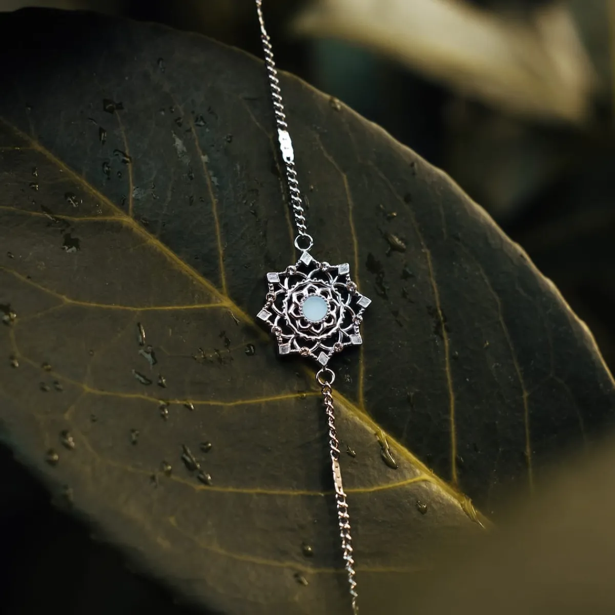 Holzkern Armbänder|Schmuck^Aphonia Armband