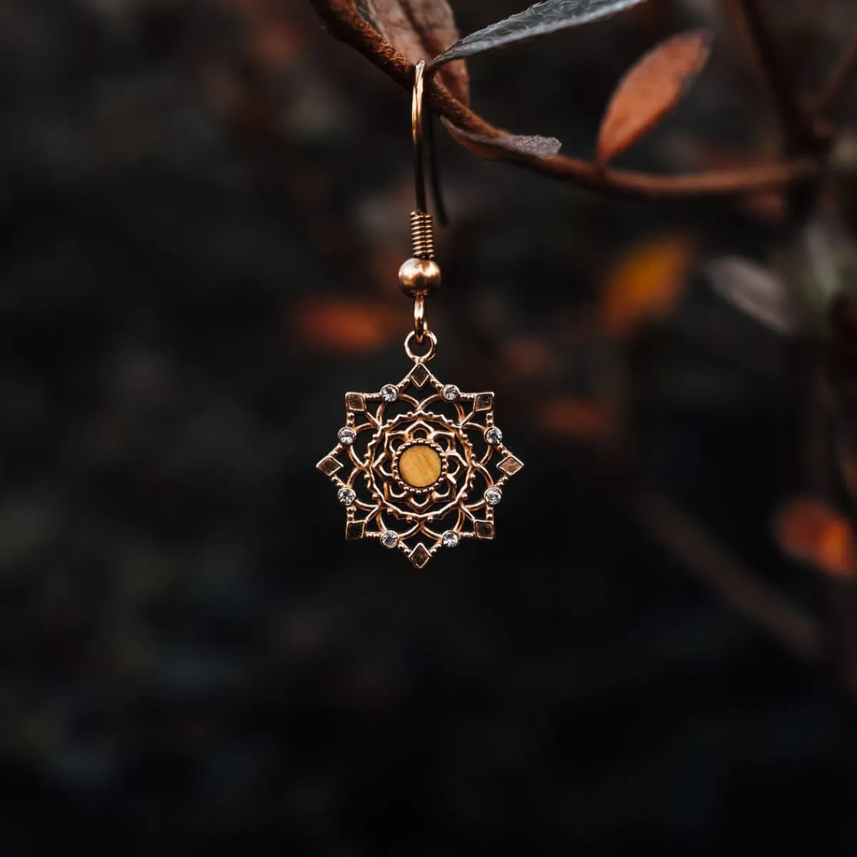 Holzkern Ohrringe|Schmuck^Aphonia Ohrringe