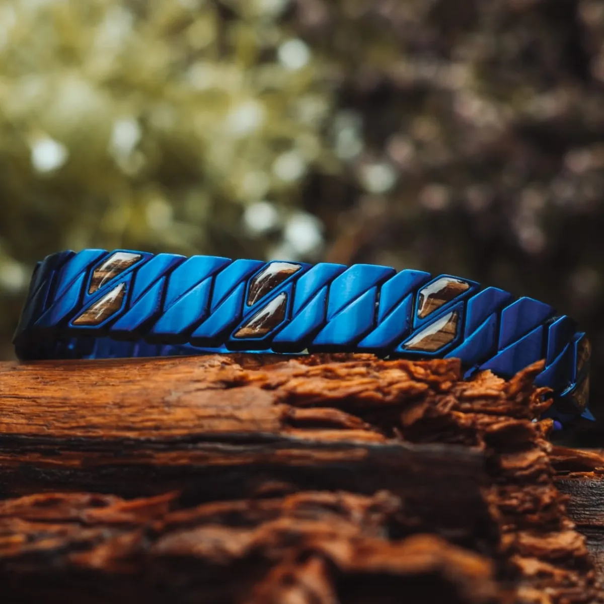 Holzkern Bandlets|Bandlets^Bariton