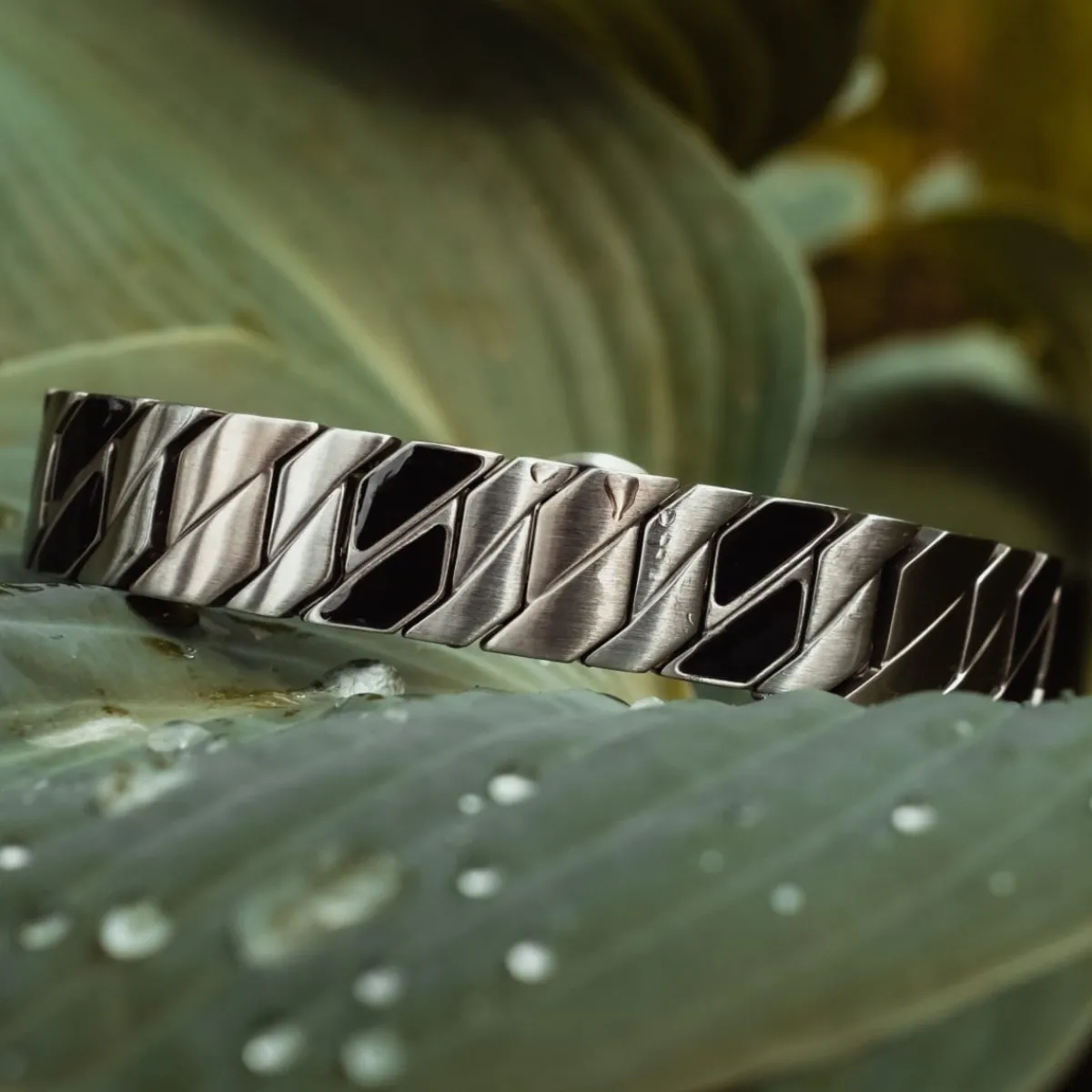 Holzkern Bandlets|Bandlets^Bariton