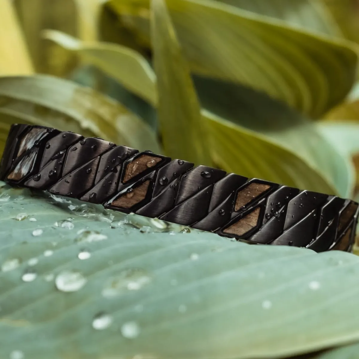 Holzkern Bandlets|Bandlets^Bariton