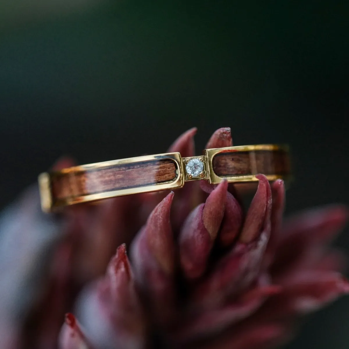 Holzkern Ringe|Schmuck^Campania Ring