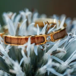 Holzkern Ringe|Schmuck^Campania Ring