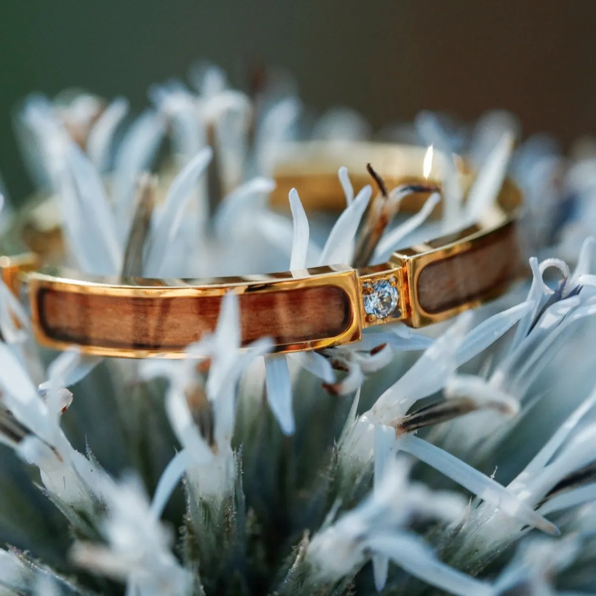 Holzkern Ringe|Schmuck^Campania Ring