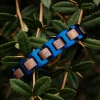 Holzkern Bandlets|Bandlets^Capriccio