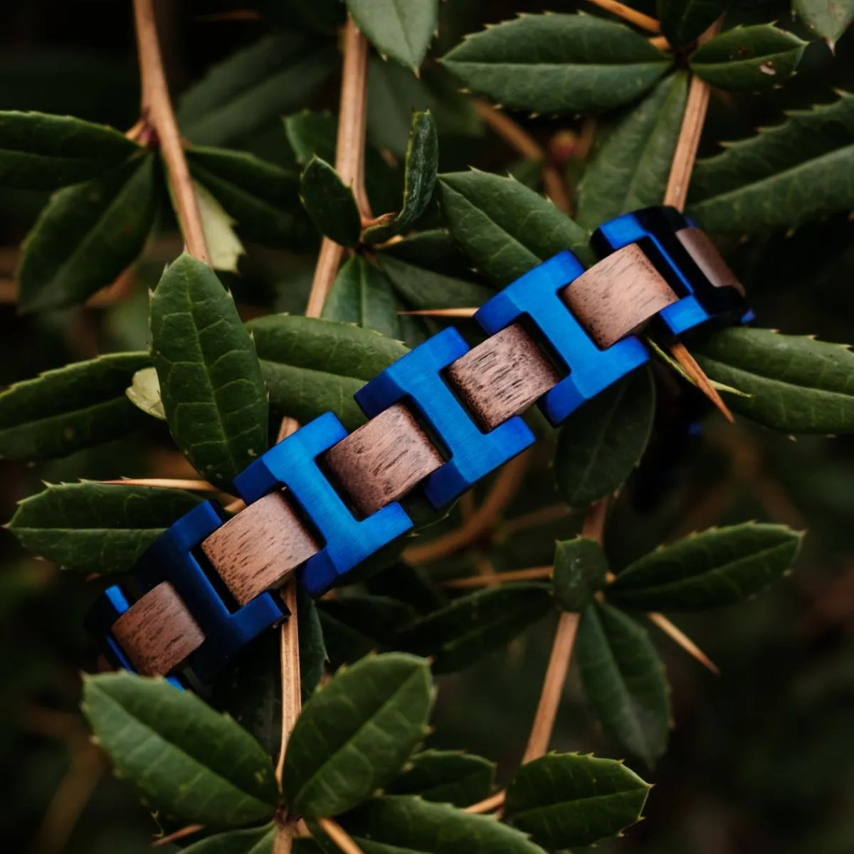 Holzkern Bandlets|Bandlets^Capriccio