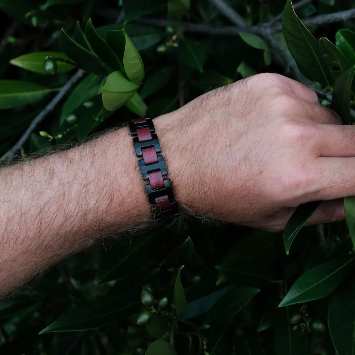 Holzkern Bandlets|Bandlets^Capriccio