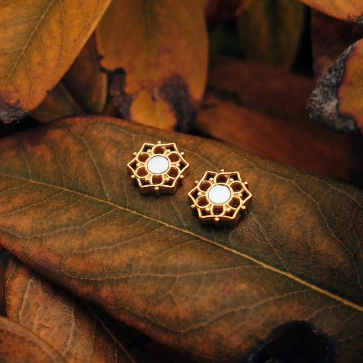 Holzkern Ohrringe|Schmuck^Composition Ohrringe