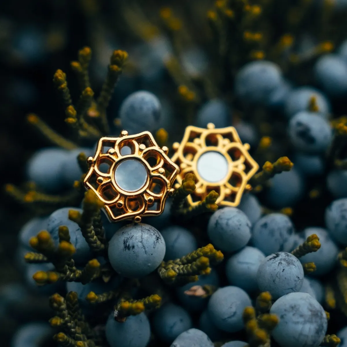 Holzkern Ohrringe|Schmuck^Composition Ohrringe