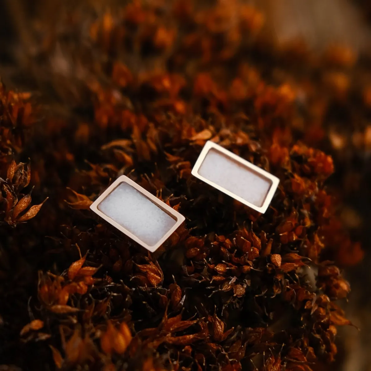 Holzkern Ohrringe|Schmuck^Contour Ohrringe