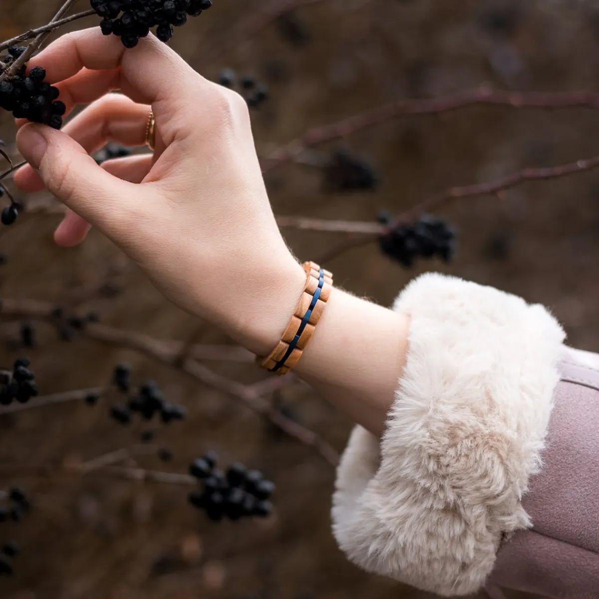 Holzkern Bandlets|Bandlets^Fantasia