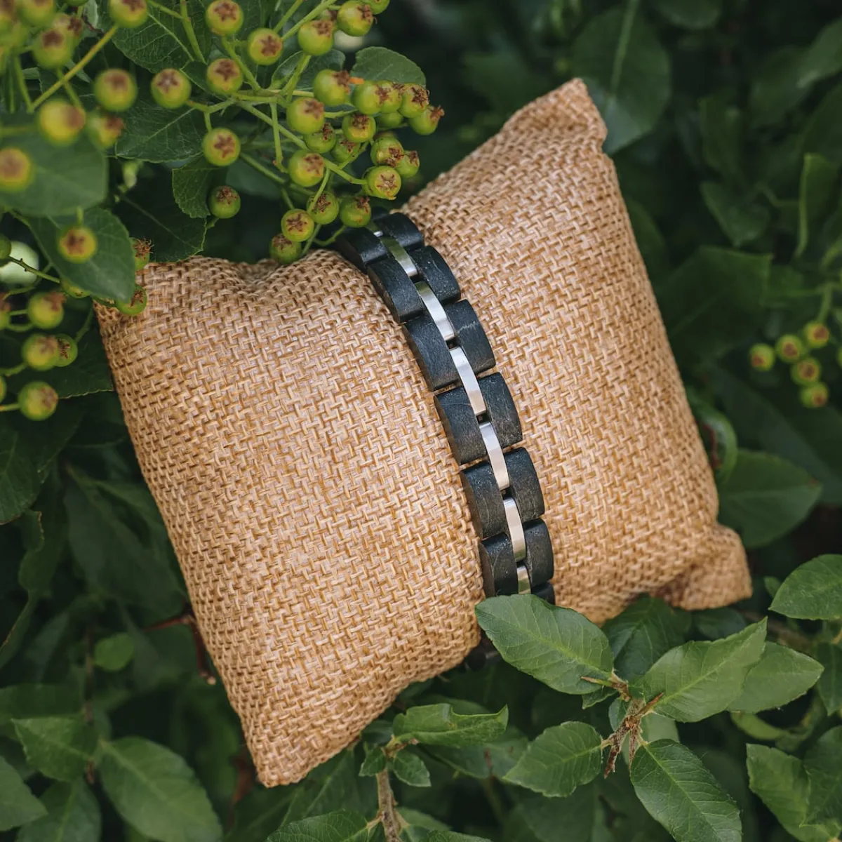 Holzkern Bandlets|Bandlets^Fantasia