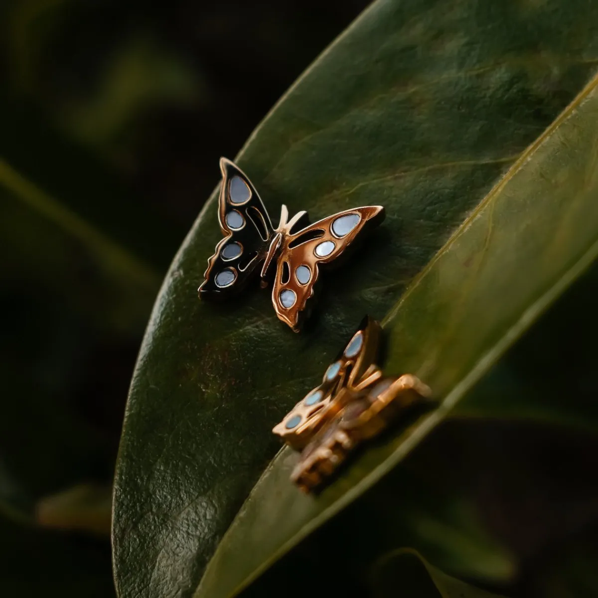 Holzkern Ohrringe|Schmuck^Fritillary Ohrringe