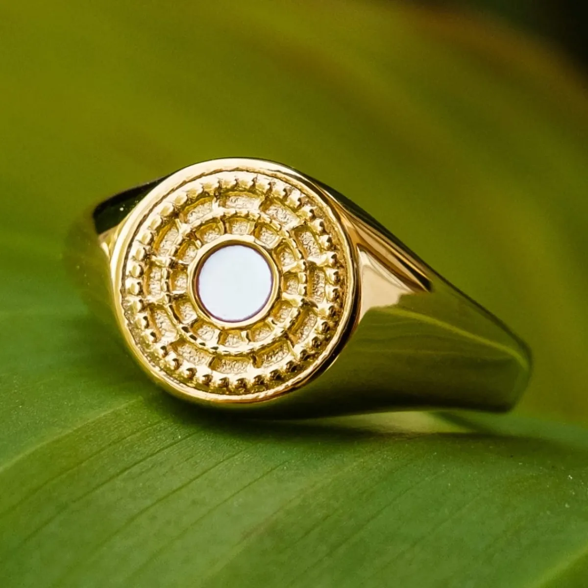 Holzkern Ringe|Schmuck^Pixa Ring