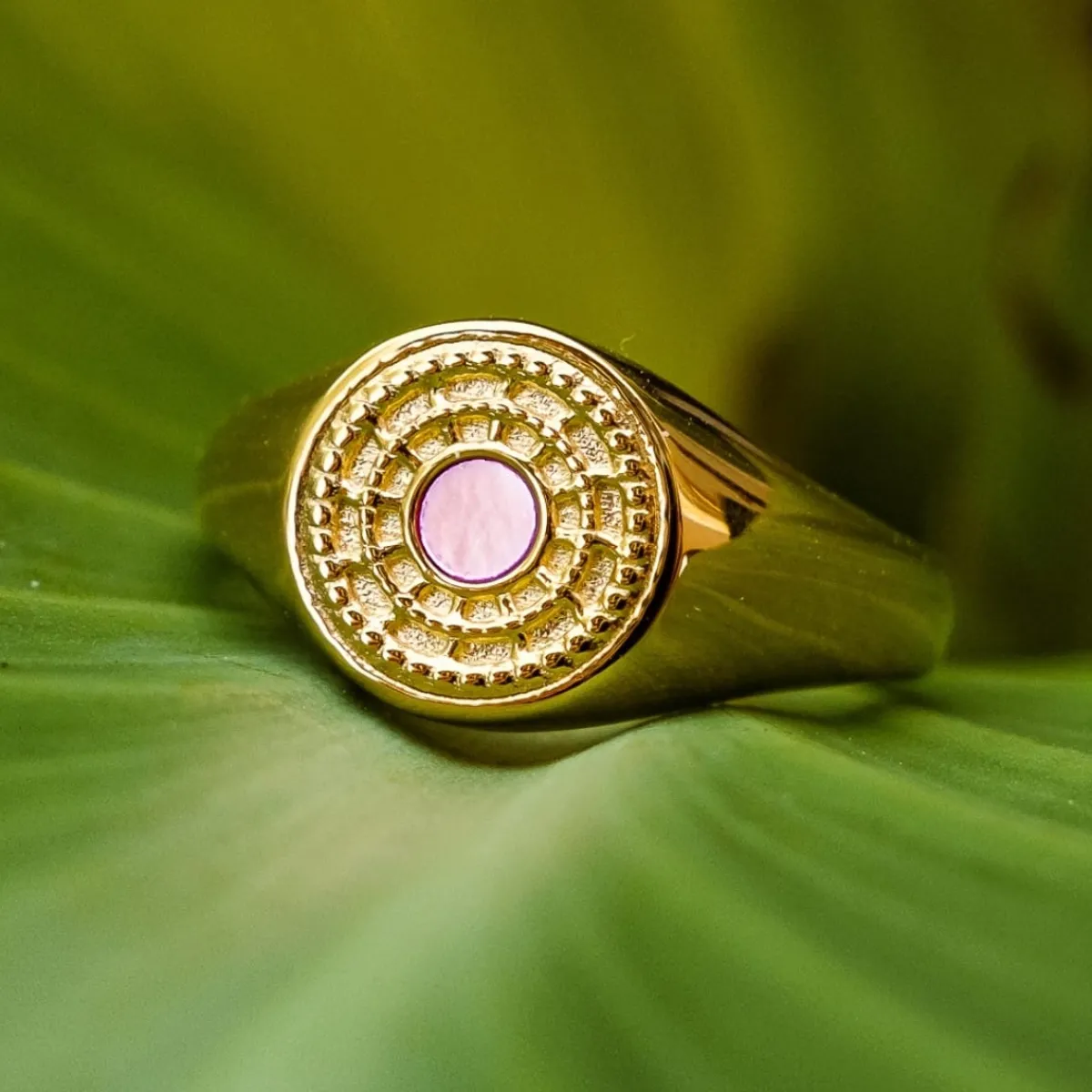 Holzkern Ringe|Schmuck^Pixa Ring