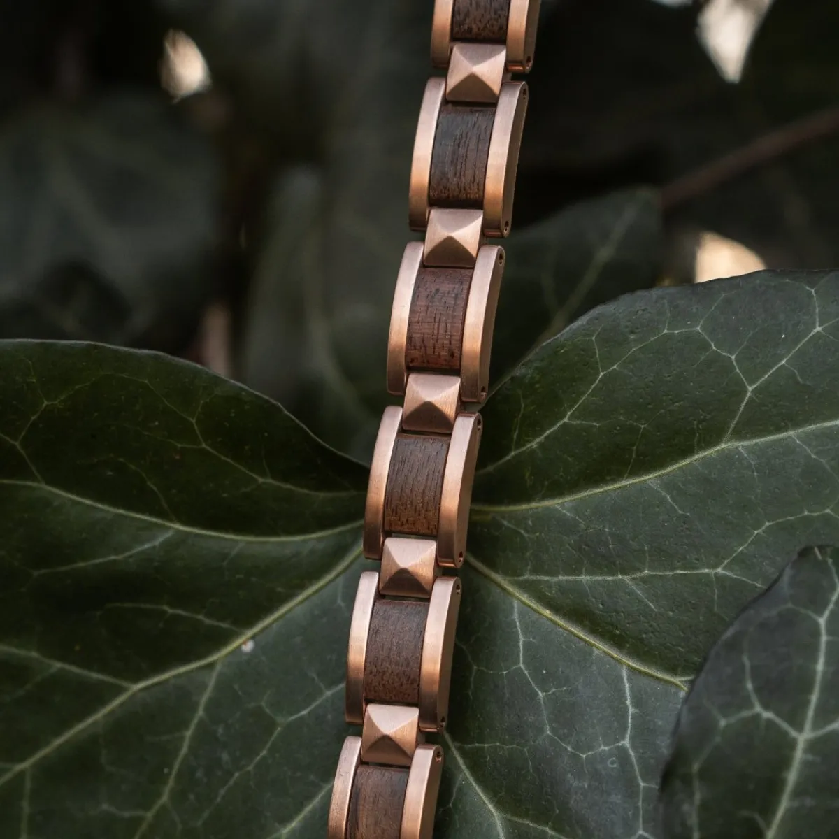 Holzkern Bandlets|Bandlets^Rhapsodie