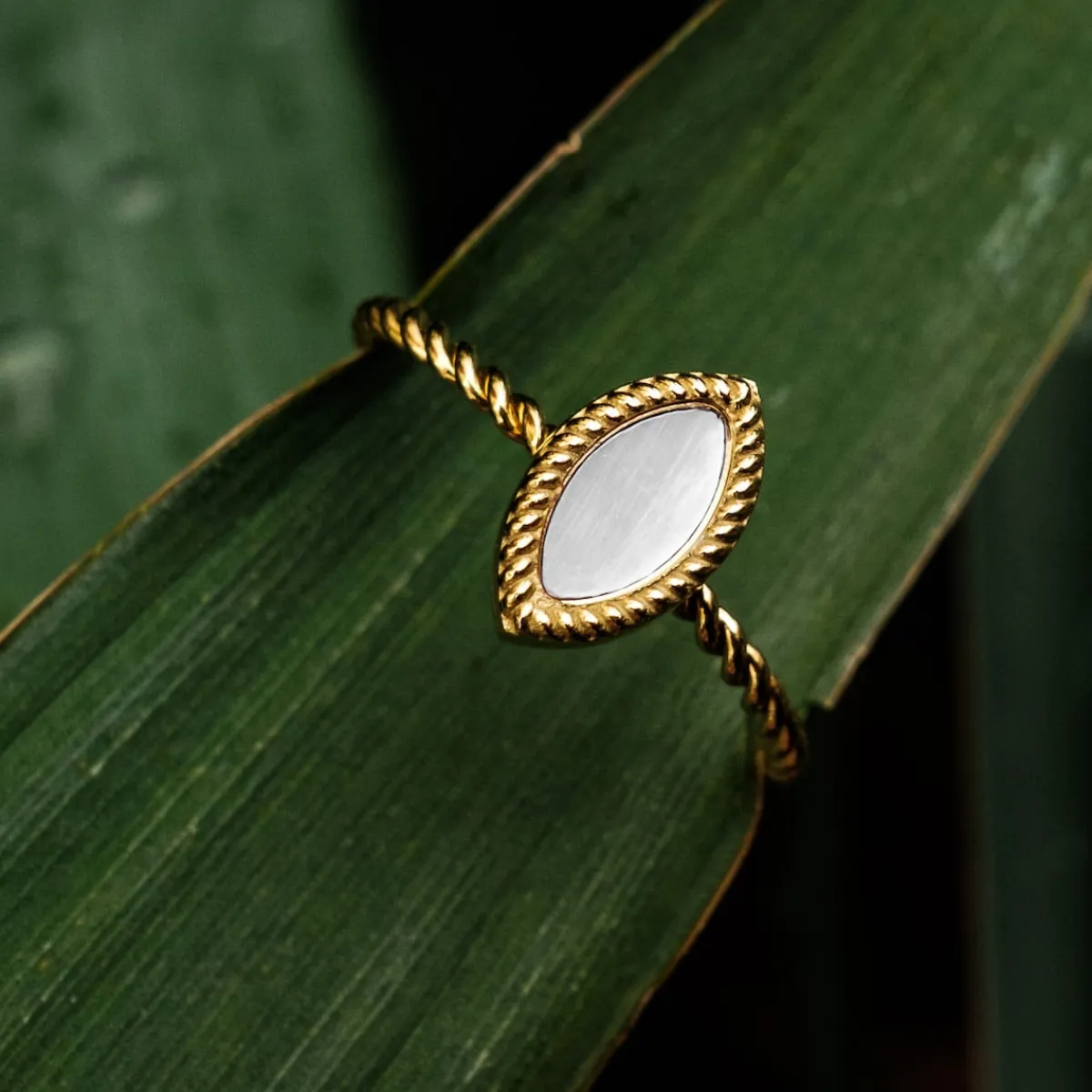 Holzkern Ringe|Schmuck^Visual Ring