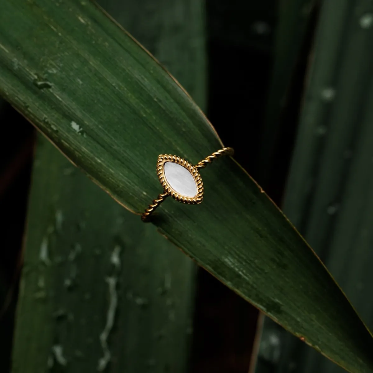 Holzkern Ringe|Schmuck^Visual Ring