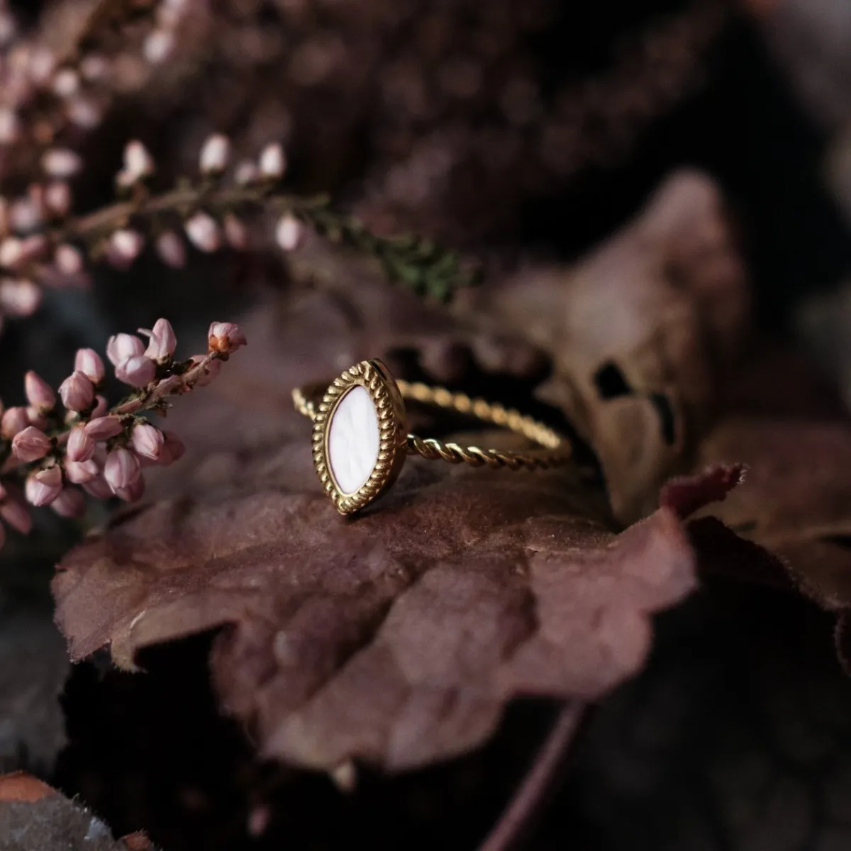 Holzkern Ringe|Schmuck^Visual Ring